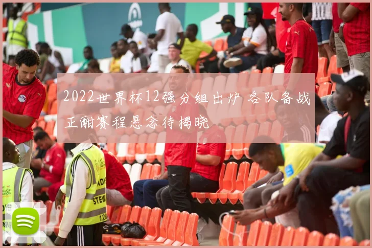 2022世界杯12强分组出炉 各队备战正酣赛程悬念待揭晓