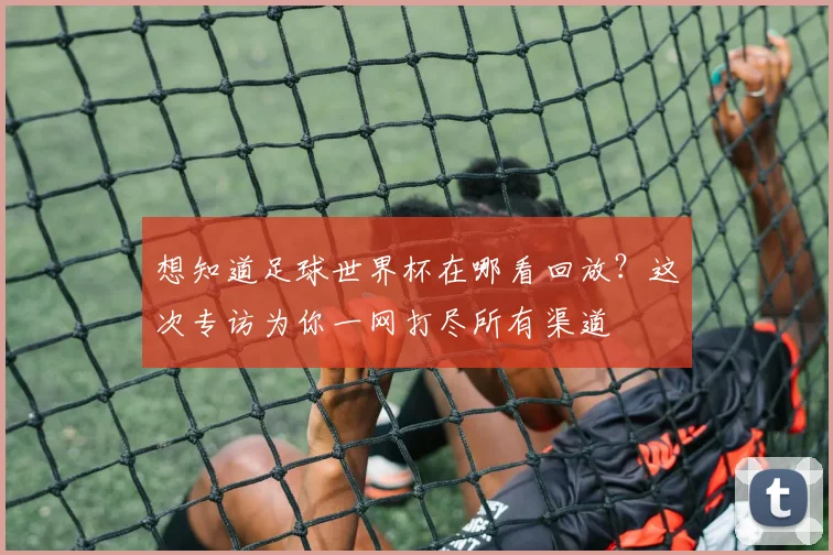 想知道足球世界杯在哪看回放?这次专访为你一网打尽所有渠道
