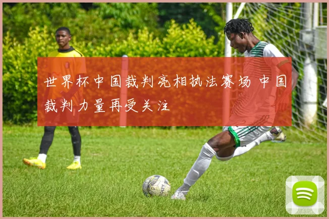 世界杯中国裁判亮相执法赛场 中国裁判力量再受关注