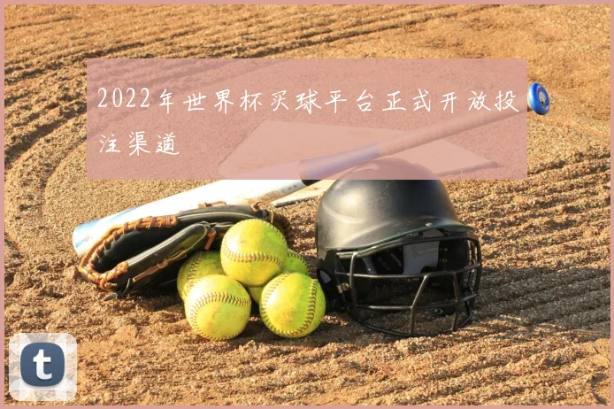 2022年世界杯买球平台正式开放投注渠道