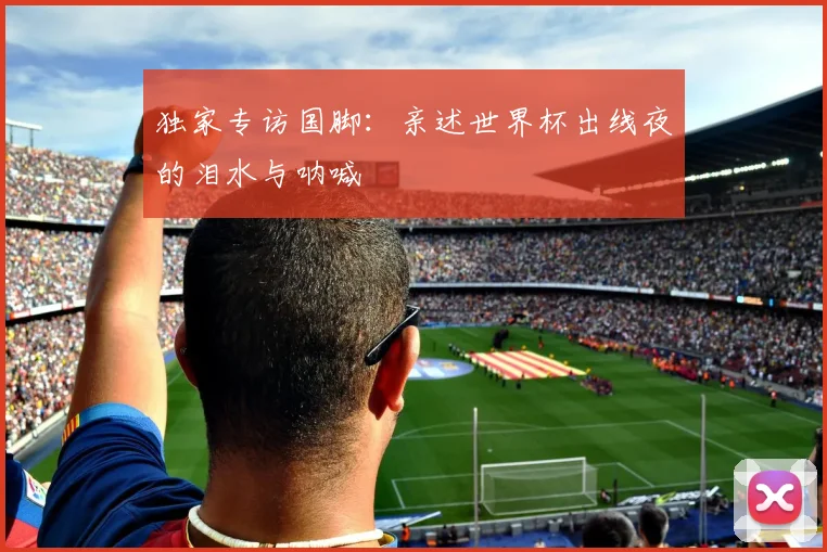 独家专访国脚：亲述世界杯出线夜的泪水与呐喊