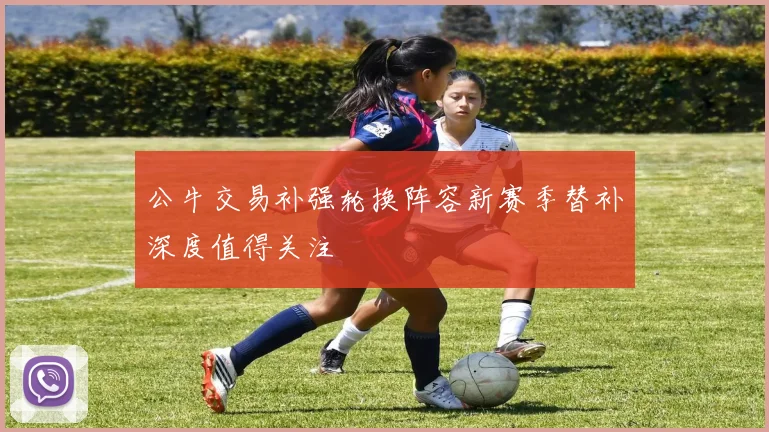 公牛交易补强轮换阵容新赛季替补深度值得关注