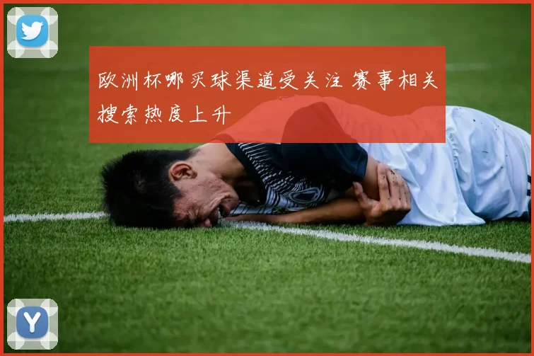 欧洲杯哪买球渠道受关注 赛事相关搜索热度上升
