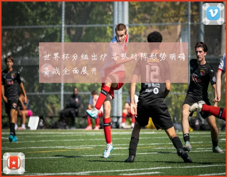世界杯分组出炉 各队对阵形势明确备战全面展开
