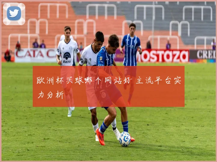 欧洲杯买球哪个网站好 主流平台实力分析