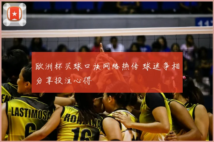 欧洲杯买球口诀网络热传 球迷争相分享投注心得
