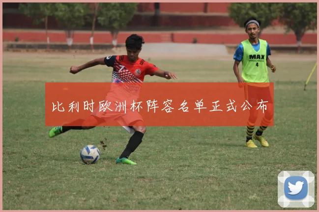 比利时欧洲杯阵容名单正式公布