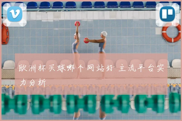 欧洲杯买球哪个网站好 主流平台实力分析