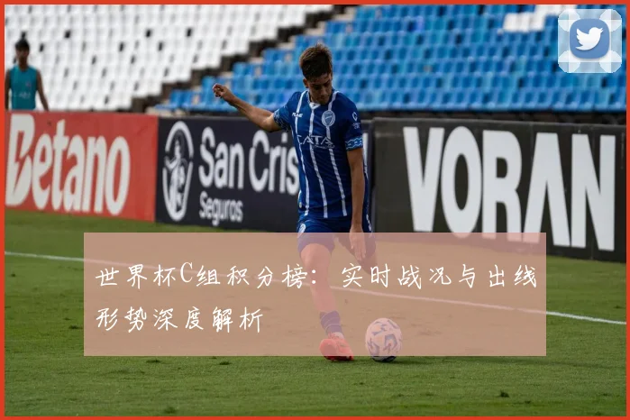 世界杯C组积分榜：实时战况与出线形势深度解析
